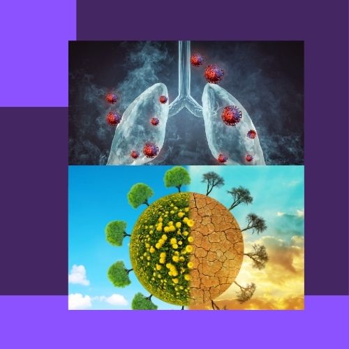 Climate action paired with Cancer Prevention