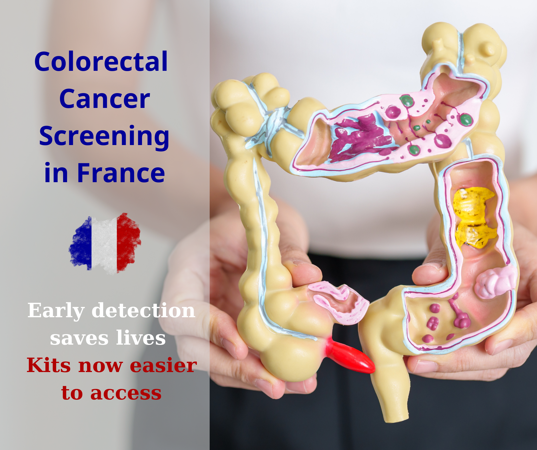 Organized Colorectal Cancer Screening Program