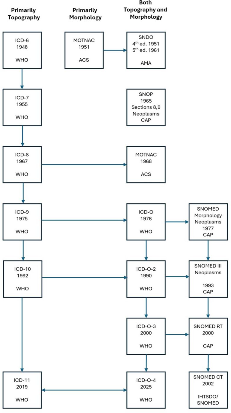 The evolution of the ICD O classification